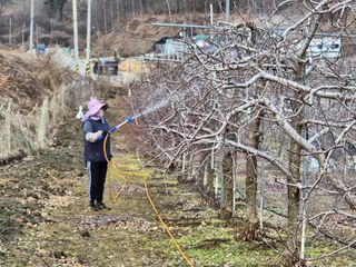 바람소리님의 기타작물 · 영농일지 작성글 사진