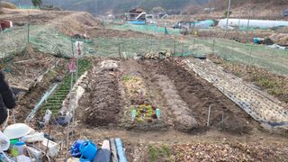 김영규님의 기타작물 · 영농일지 작성글 사진