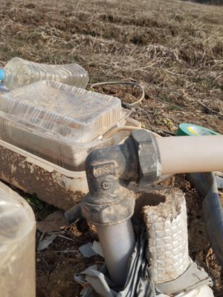 최병우님의 기타작물 · 영농일지 작성글 사진