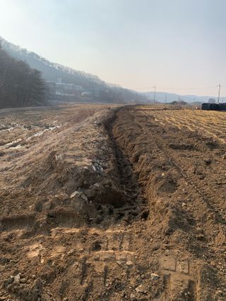 백용구님의 두릅 · 영농일지 작성글 사진