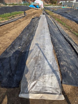 정찬길 님의 기타작물 · 영농일지 작성글 사진