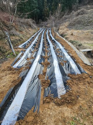 장흥식님의 기타작물 · 영농일지 작성글 사진