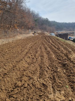 자두7424님의 기타작물 · 영농일지 작성글 사진