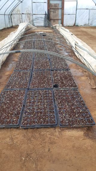 하루의행복님의 기타작물 · 영농일지 작성글 사진