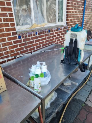 김용대님의 기타작물 · 영농일지 작성글 사진