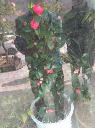 배추19087님의 기타작물 · 영농일지 작성글 사진