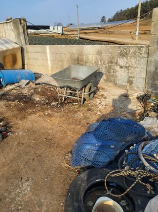 최유순님의 기타작물 · 영농일지 작성글 사진