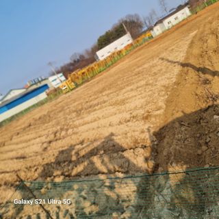 이천산수유님의 기타작물 · 영농일지 작성글 사진