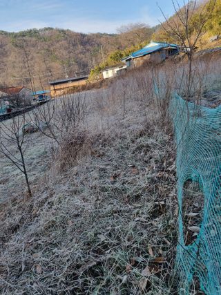 새싹님의 기타작물 · 영농일지 작성글 사진