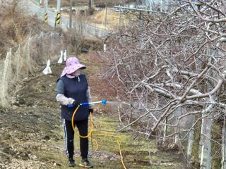 바람소리님의 기타작물 · 영농일지 작성글 사진