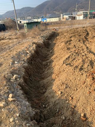 백용구님의 두릅 · 영농일지 작성글 사진