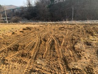 백용구님의 두릅 · 영농일지 작성글 사진