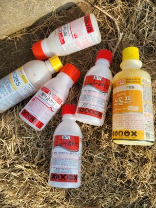 최유순님의 기타작물 · 영농일지 작성글 사진