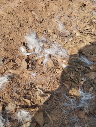 최병우님의 기타작물 · 영농일지 작성글 사진