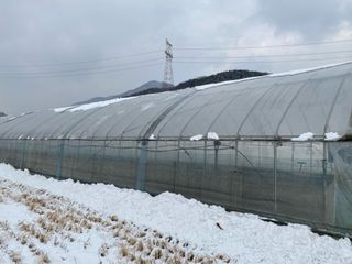 오작교농장님의 기타작물 · 영농일지 작성글 사진