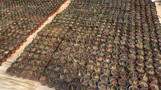 원스피릿팜님의 기타작물 · 영농일지 작성글 사진