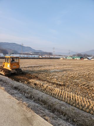 권영일님의 딸기 · 영농일지 작성글 사진