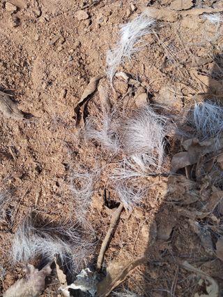 최병우님의 기타작물 · 영농일지 작성글 사진