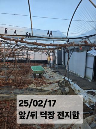 장순호 수노아농원 님의 기타작물 · 영농일지 작성글 사진