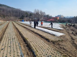 신철승님의 기타작물 · 영농일지 작성글 사진