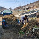 팜모닝 기타작물·영농일지 게시글 이미지
