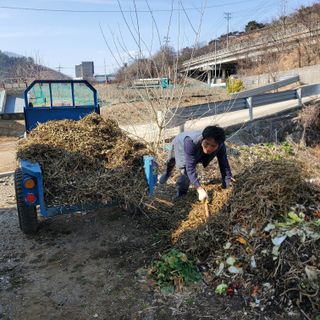 강상정님의 기타작물 · 영농일지 작성글 사진