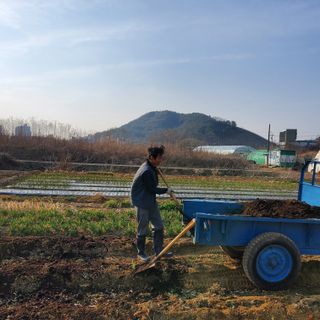 강상정님의 기타작물 · 영농일지 작성글 사진