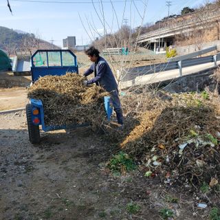 강상정님의 기타작물 · 영농일지 작성글 사진