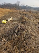 팜모닝 기타작물·영농일지 게시글 이미지