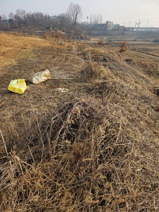 김의철님의 기타작물 · 영농일지 작성글 사진