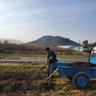 강상정님의 기타작물 · 영농일지 작성글 사진