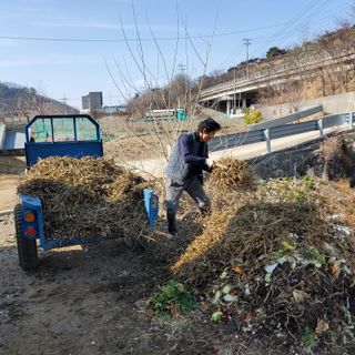 강상정님의 기타작물 · 영농일지 작성글 사진