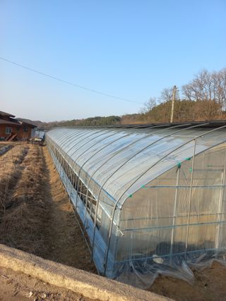 농민님의 기타작물 · 영농일지 작성글 사진