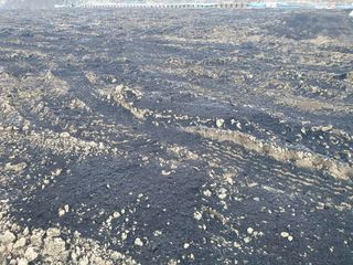 김정태님의 감자 · 영농일지 작성글 사진