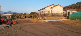 김안재님의 기타작물 · 영농일지 작성글 사진