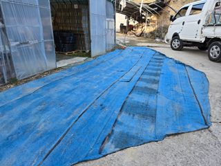 전진원님의 포도 · 영농일지 작성글 사진