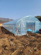 팜모닝 고추·영농일지 게시글 이미지