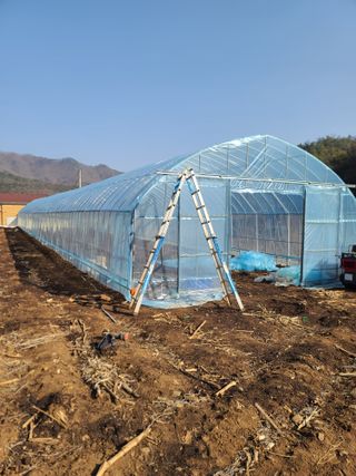 신경여님의 고추 · 영농일지 작성글 사진