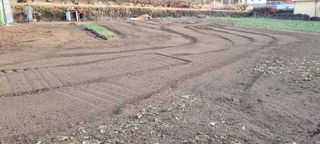 김안재님의 기타작물 · 영농일지 작성글 사진