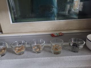 원탑님의 토마토 · 영농일지 작성글 사진