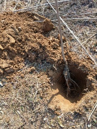 강지현님의 기타작물 · 영농일지 작성글 사진