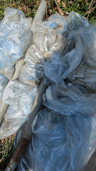 모니카님의 기타작물 · 영농일지 작성글 사진