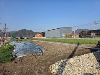 앵매도리님의 기타작물 · 영농일지 작성글 사진