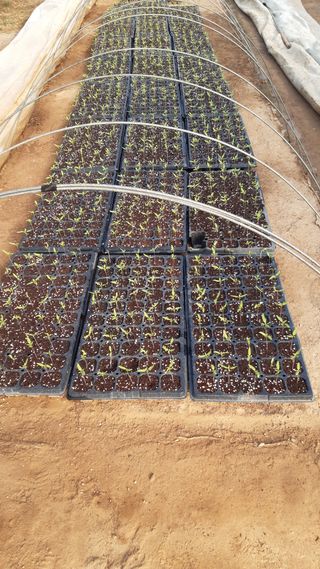 하루의행복님의 기타작물 · 영농일지 작성글 사진