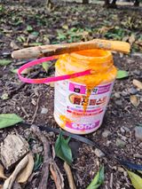 팜모닝 귤·영농일지 게시글 이미지