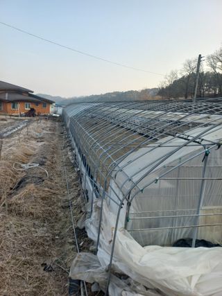 농민님의 기타작물 · 영농일지 작성글 사진