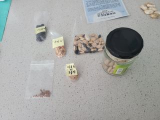 원탑님의 토마토 · 영농일지 작성글 사진