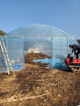 신경여님의 고추 · 영농일지 작성글 사진