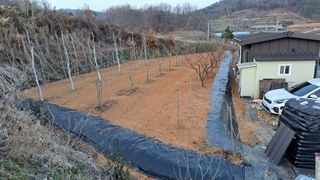 정병묵님의 기타작물 · 영농일지 작성글 사진