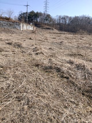 강지현님의 기타작물 · 영농일지 작성글 사진